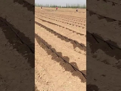 Ruban d'irrigation par goutte à goutte