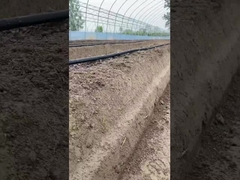 Ruban d'irrigation par goutte à goutte